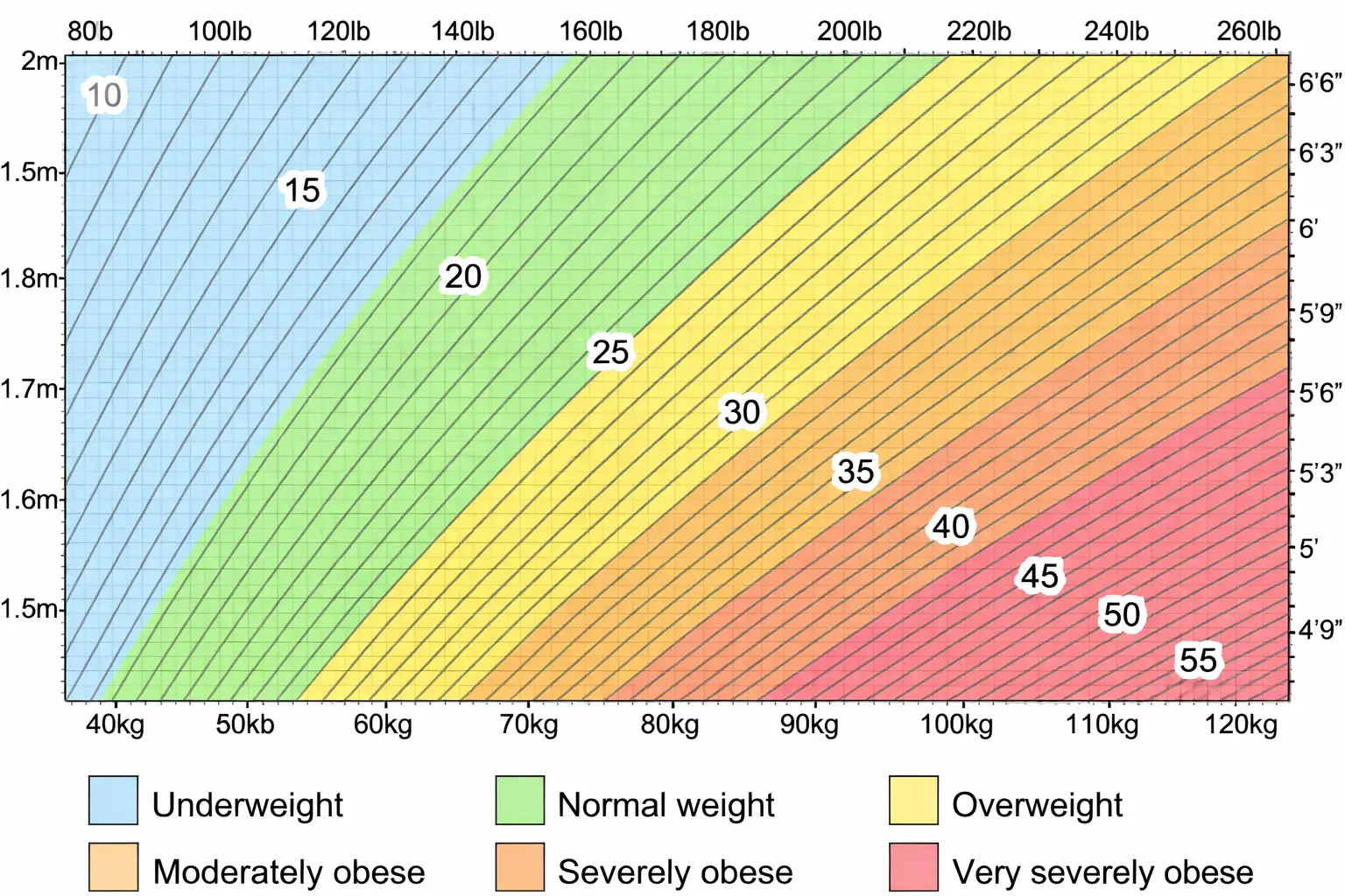 BMI Chart for Adults